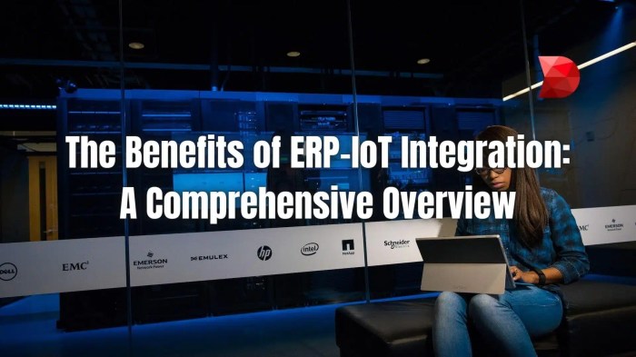 Erp and internet of things​