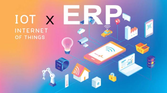 ERP IoT untuk Bisnis Distribusi