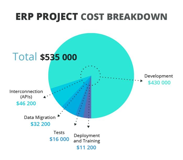 Seberapa Mahal Implementasi ERP Ini Jawabannya