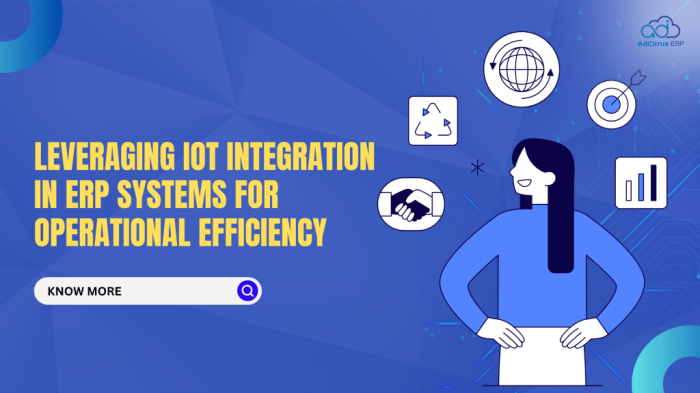 ERP IoT dalam Pengelolaan Sumber Daya