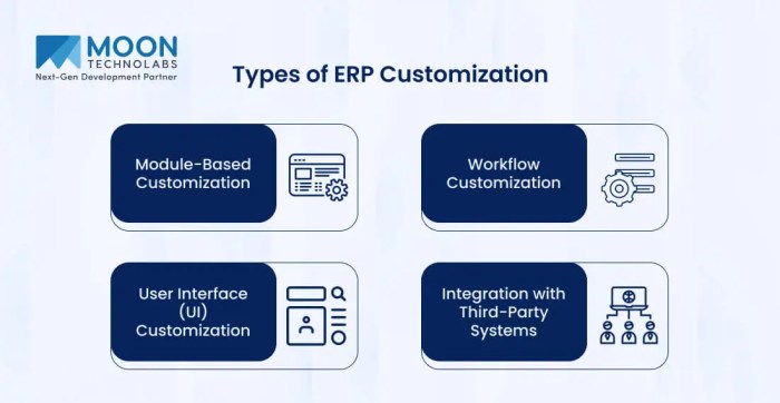 Cara Menyesuaikan ERP dengan Kebutuhan Perusahaan