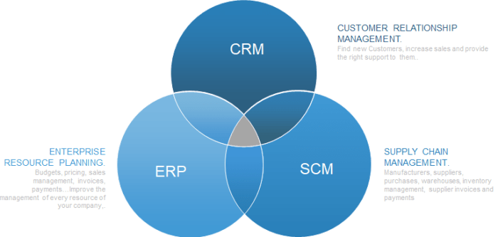 ERP dan Customer Experience: Hubungannya dalam Bisnis